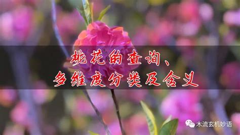 桃花神煞表|桃花的查询、多维度分类及含义